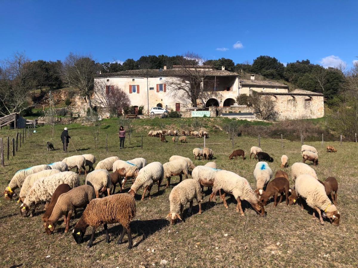 Gites La Ferme Accrochee A La Colline Lagorce  Buitenkant foto
